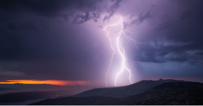 广州仓库暂停发货2日